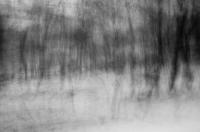 PICT1613~0.jpg