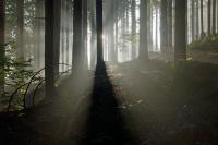 Ray_of_lights_by_xnay83.jpg