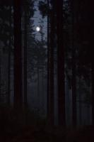 The_darkness_comes_by_xnay83.jpg
