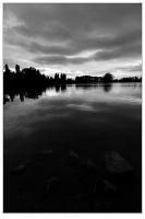 IMG_5960.jpg