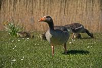 IMG_2386a_min.jpg