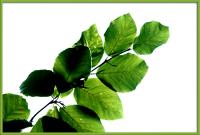 IMG_3654_rahmen_min.jpg
