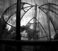 IMG_3874_quadr_min_hf.jpg