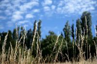 IMG_4015_min.jpg