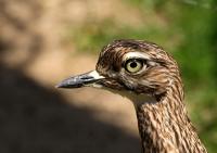 IMG_4234_min1.jpg