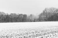 comp_DSC00048.jpg