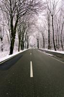 comp_DSC00049.jpg