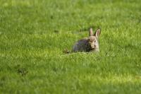 comp_DSC01202-Bearbeitet-2.jpg