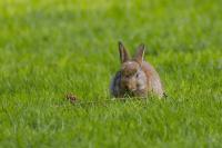 comp_DSC01205.jpg