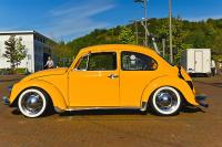 comp_DSC01372.jpg