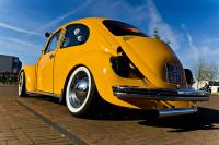 comp_DSC01375.jpg