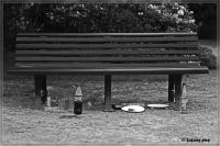 comp__DSC3658.jpg