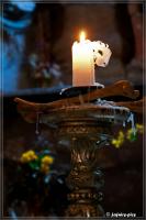 comp__DSC4702.jpg