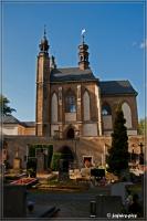 comp__DSC4746_.jpg