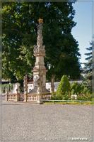 comp__DSC4750.jpg