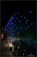 comp__DSC6423.jpg