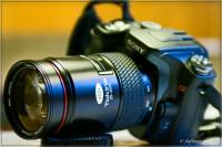 comp__DSC9512.jpg
