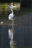 comp_comp__DSC2093_bearbeitet-4.jpg