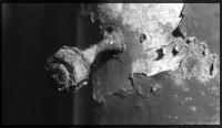 Dateiname=schraube_rost_001_bw_crp_if.jpg
Dateigröße=301KB
Abmessungen: 1002x584
hinzugefügt am: 01. Juni 2009 schraube_rost_001_bw_crp_if.jpg