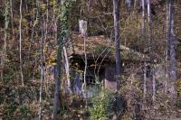 IMG_8554.jpg