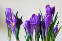 IMG_9447.jpg
