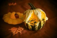 herbst-2012.jpg