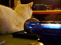 lumiere-018.jpg