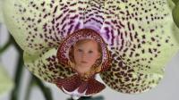 Orchidee.jpg