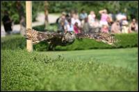 IMG_1093.jpg