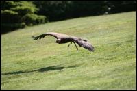 IMG_1143.jpg