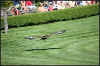 IMG_1152.jpg