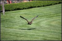 IMG_1153.jpg