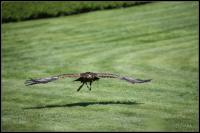IMG_1154.jpg