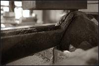 IMG_1526.jpg