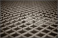 IMG_1663.jpg