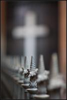IMG_1694.jpg