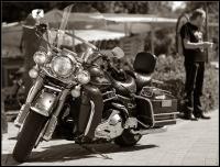 IMG_1822_1024.jpg