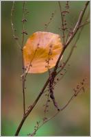 IMG_3325.jpg