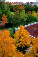 Herbst.JPG