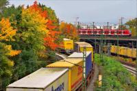 HerbstZüge_-_II.JPG