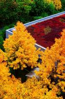 Herbst_II,_beschnitten.jpg