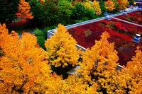 Herbst_II.jpg