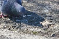 20120325-IMG_1155.jpg