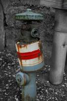 Joes_Variante_281_von_229.jpg