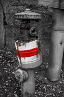 Joes_Variante_282_von_229.jpg