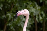 Tierpark_Bochum-1-6.jpg