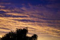 DSC01211.jpg