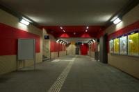 DSC01274.jpg