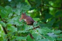 DSC01340_28129.jpg