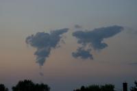 DSC01347.jpg